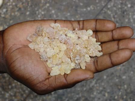 White Frankincense